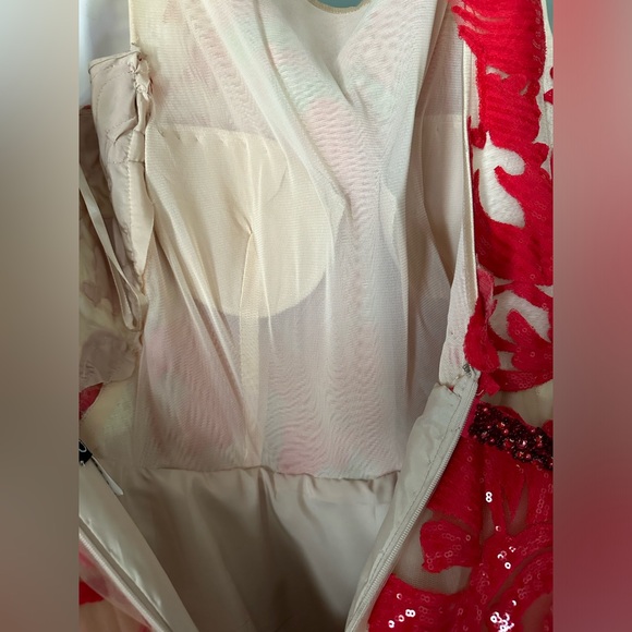 Jovani Gown - Prom or Homecoming, beautiful nude & red - Picture 10 of 13